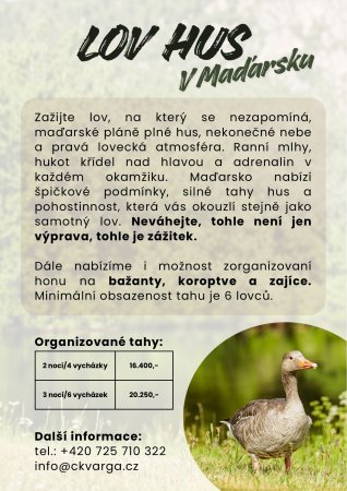 Lov husí v Maďarsku