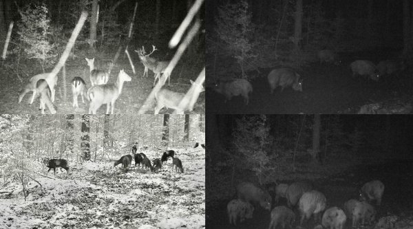 Naháňka tento víkend