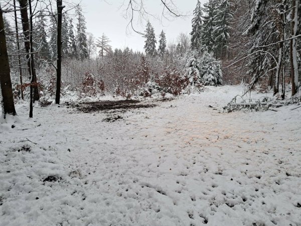 Poplatková naháňka - poslední místa
