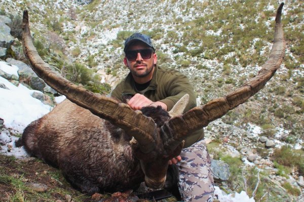 Kozoroh Sierra Nevada - Španělsko