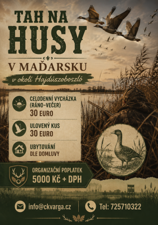 Lov husí v Maďarsku