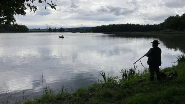 Poplatkový hon na divoké kachn