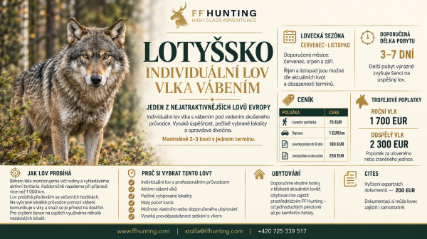 Individuální lov vlka v Lotyšsku