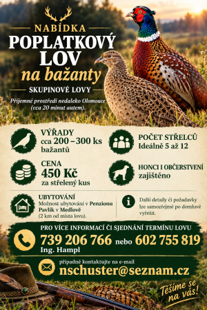 Lov bažantů