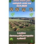 Poplatková naháňka