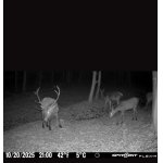 Povolenka k lovu 2026-2027