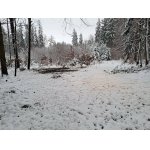 Poplatková naháňka - poslední místa