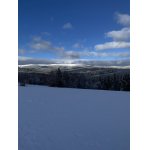 Nabídka exkluzivní povolenky k lovu v bohatě zazvěřené honitbě – Krnovsko