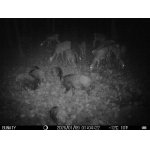 Povolenka k lovu 2026