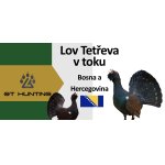 Tetřev hlušec v toku