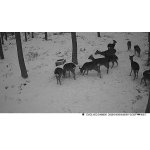 Naháňka Plzeňsko + Krušné hory