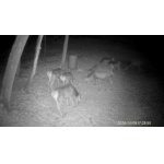 Naháňka Krušné Hory