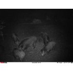 Povolenka k lovu 2026/27