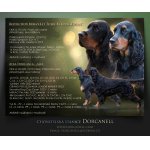 Gordonsetr s PP, setr