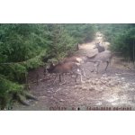 POVOLENKA K LOVU 26/27