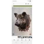 Povolenka k lovu na rok 2026-27