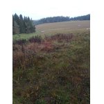 Povolenka k lovu pro 2026/2027