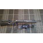 Sauer 303