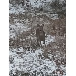 Hodonín, Břeclav, Kyjov a blízká Již. Morava