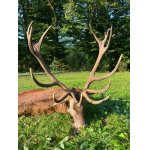 polovačka v maďarsku