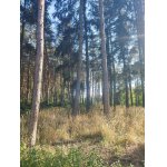 Honitba Brněnsko/Vyškovsko