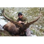 Kozoroh Sierra Nevada - Španělsko