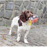 Německý křepelák