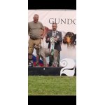 Prodej štěňat z chovné stanice " pod Nahorubskou hůrkou"