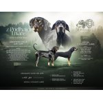 Sedmihradský honič