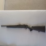 Sauer 303