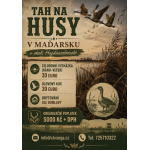 Lov husí v Maďarsku