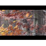 Uralka vo farebnom jesennom lese.