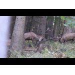 Najlepšie zo Slovenskej prírody 2025.