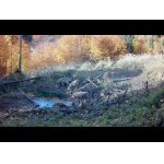 Čergov - Život v lese (máj - december) - From life in a forest