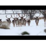 Daniele po 2 hodinách čakania.