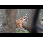 Safari a veľa prekvapení.