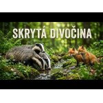 Skrytý svet divočiny pri potoku.