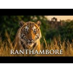 Slávna rezervácia tigrov Ranthambore.
