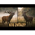 Kto ovládne toto rujovisko?